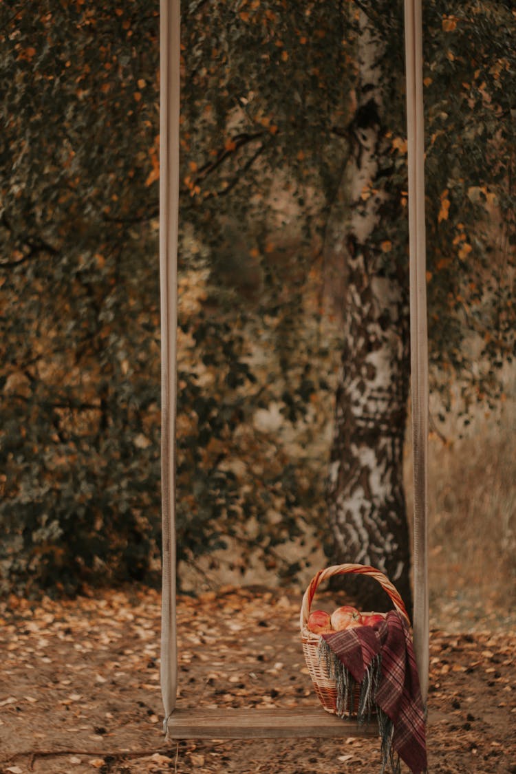 Basket Of Apples On Swing