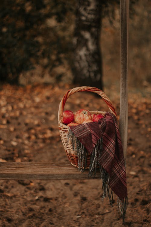 Imagine de stoc gratuită din coș, fotografiere verticală, fructe