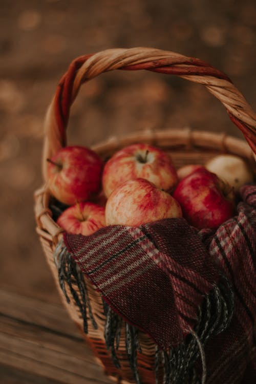 Fotos de stock gratuitas de básquet, colores de otoño, frutas