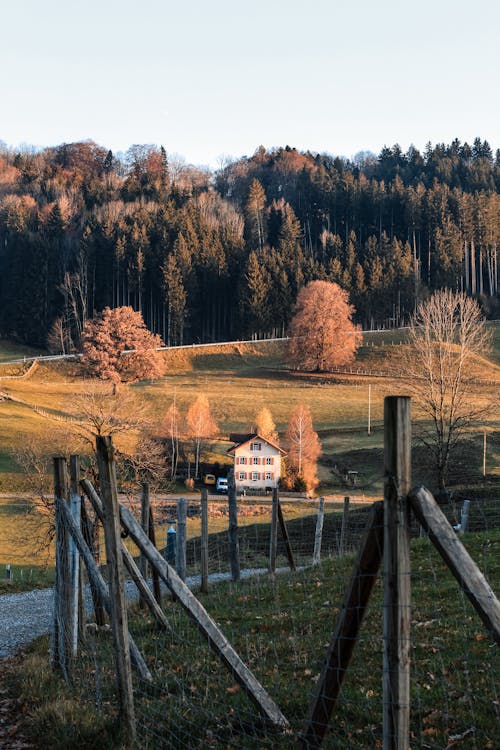 Ingyenes stockfotó erdő, esés, évszak témában