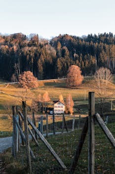 Explore a serene autumn landscape in Sulzberg, Bavaria with rustic charm and vivid fall colors.