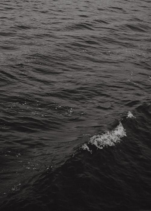 Kostnadsfri bild av blått hav, grå, h2O
