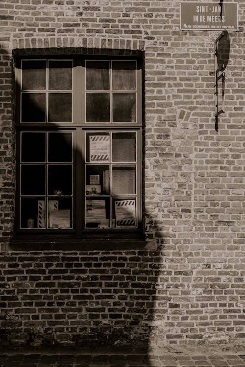 Foto d'estoc gratuïta de blanc i negre, escala de grisos, finestra