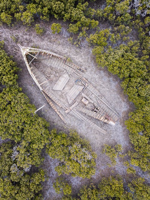 Boat Wreck Among Bushes