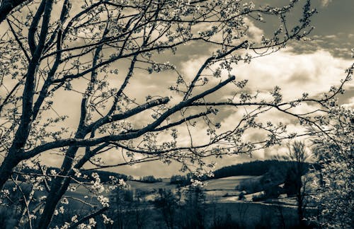 Fotobanka s bezplatnými fotkami na tému príroda