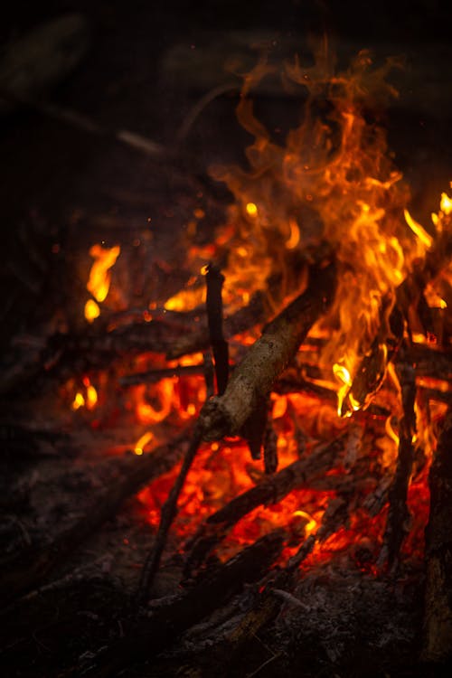 bezplatná Základová fotografie zdarma na téma hoření, oheň, ohniště Základová fotografie