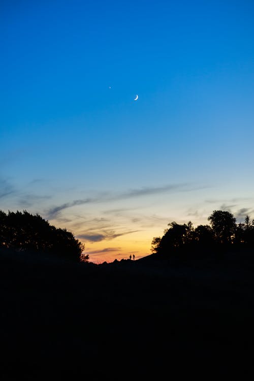 Venus and Crescent Moon in Sky in Evening