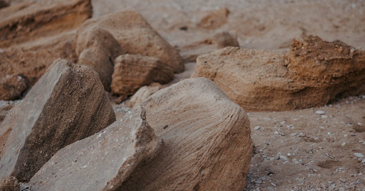 Photograph of Brown Rocks on the Ground · Free Stock Photo