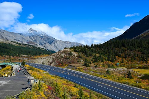 Hills and Mountains with Trees Near Highway