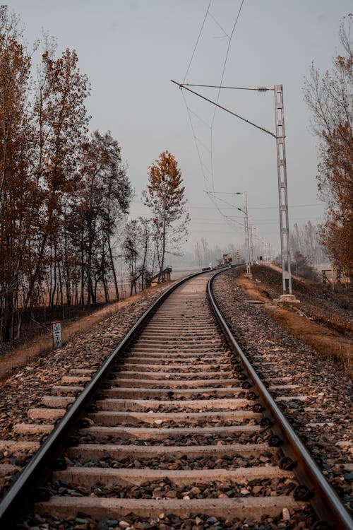 Kostenloses Stock Foto zu bahnhof, bäume im herbst, düsterer himmel