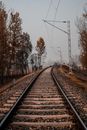 Brown Train Rail Near Trees