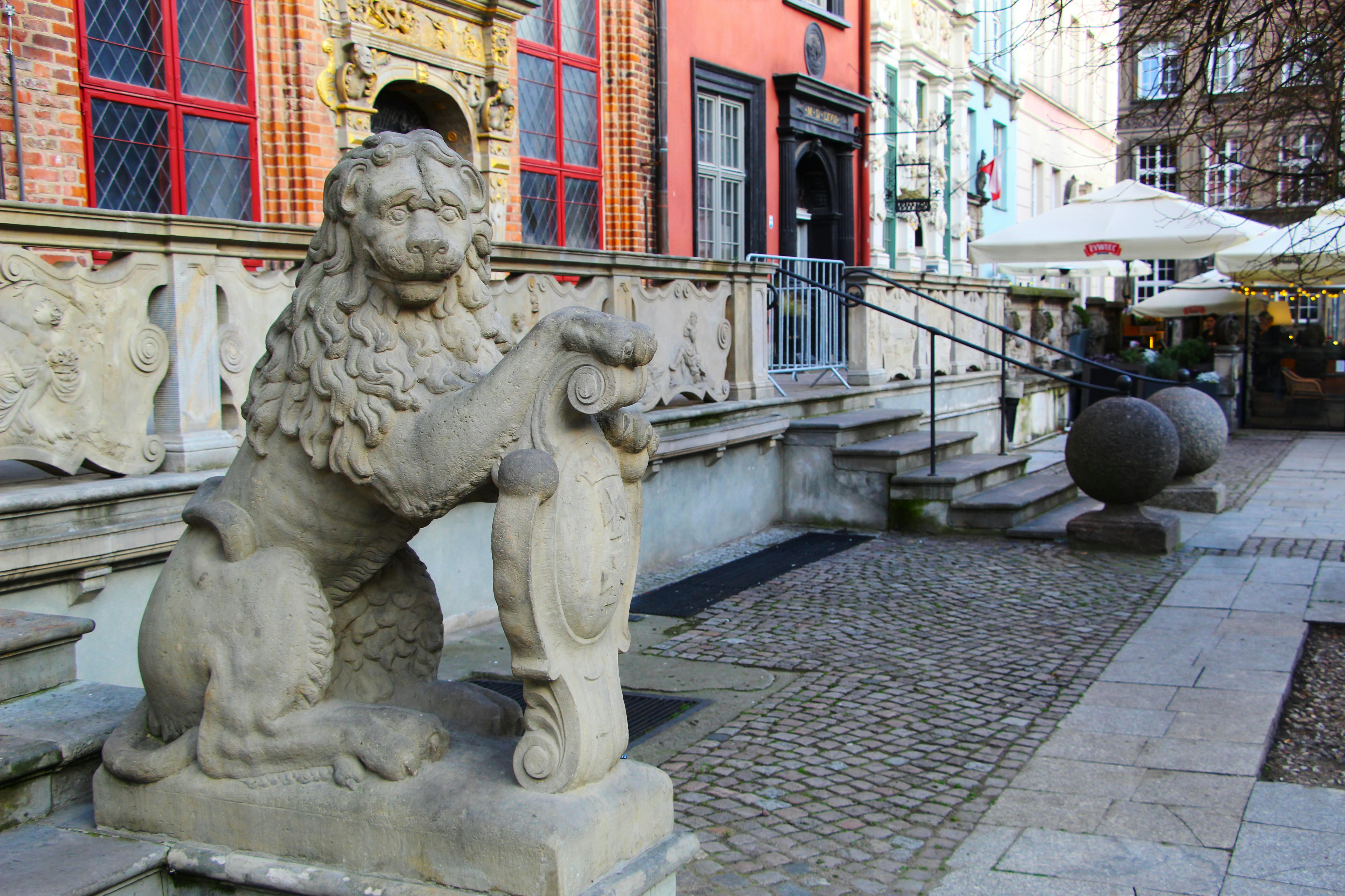 Chinese Fishing Nets in Kochi