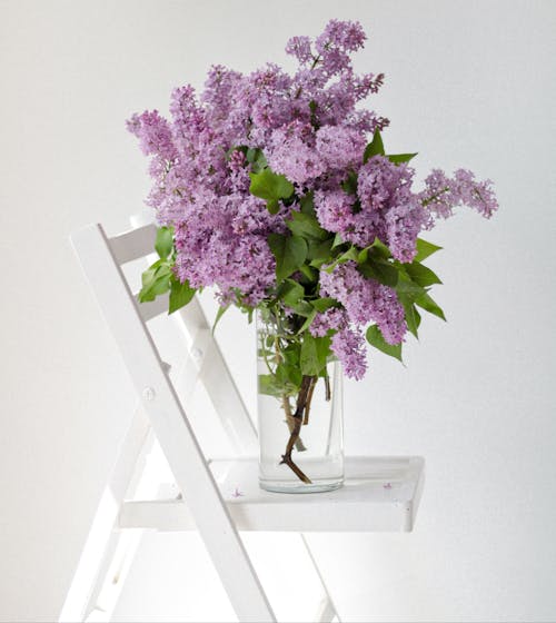 Free Purple Flowers in a Glass Vase Stock Photo
