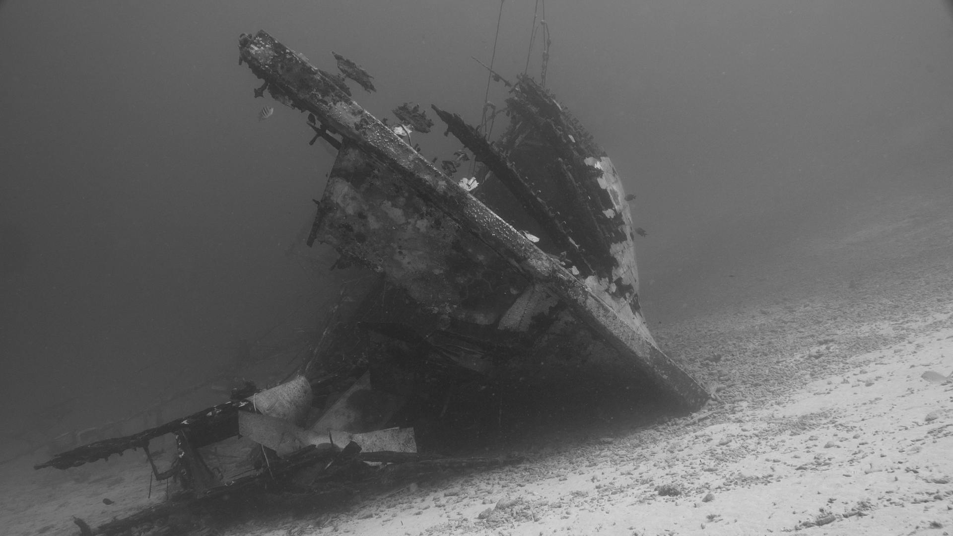 Grayscale Photograph of a Shipwreck Underwater