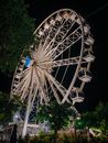 White Ferris Wheel Near Green Trees