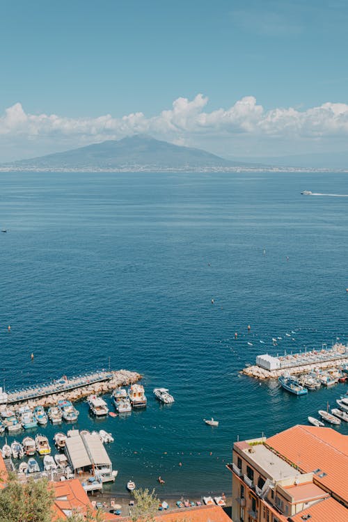 Drone Shot of Watercrafts Docked in a Marina