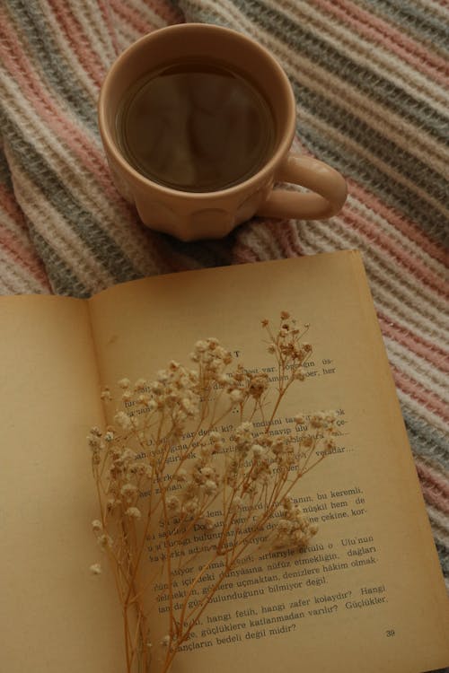Baby's-breath Flowers on a Book