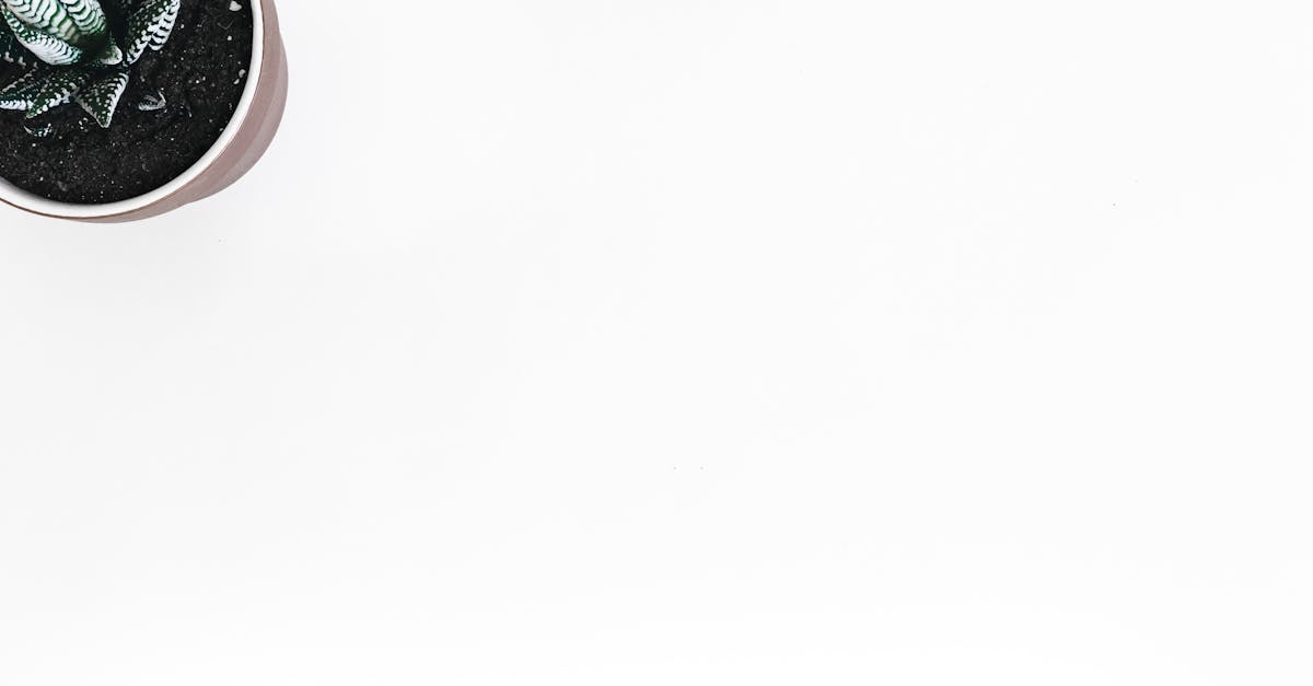 ⛷️ 日本屋内滑雪场即将复活,赶快安排起来吧!🏔️ ⛷️ 日本屋内滑雪场即将复活,赶快安排起来吧!🏔️