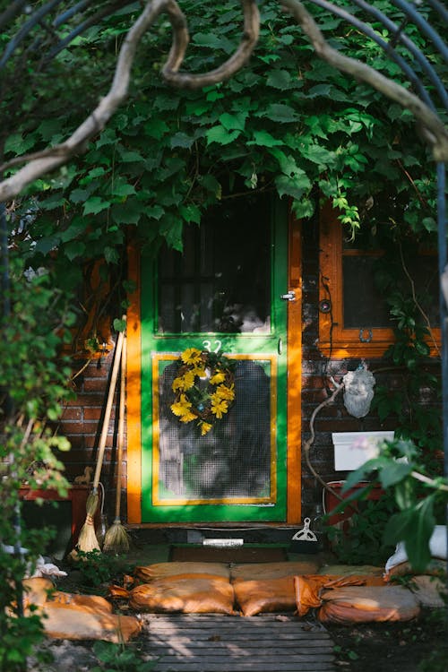 Фото двери возле растений