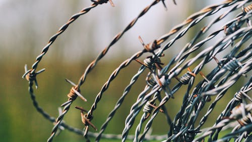 Základová fotografie zdarma na téma detail, hloubka ostrosti, ostnatý drát