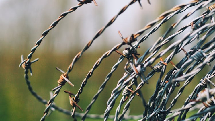 Close-Up Photography Of Barbed Wire