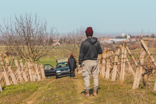 People walking in a picturesque vineyard with a parked car and distant countryside views.