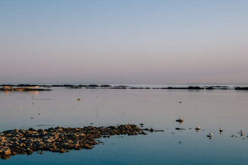 Gratis lagerfoto af blå himmel, flot udsigt, hav