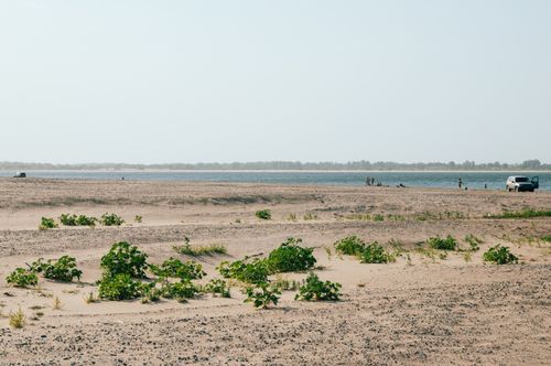 Free A tranquil sandy shoreline with scattered green plants, a parked vehicle, and a distant water view. Stock Photo