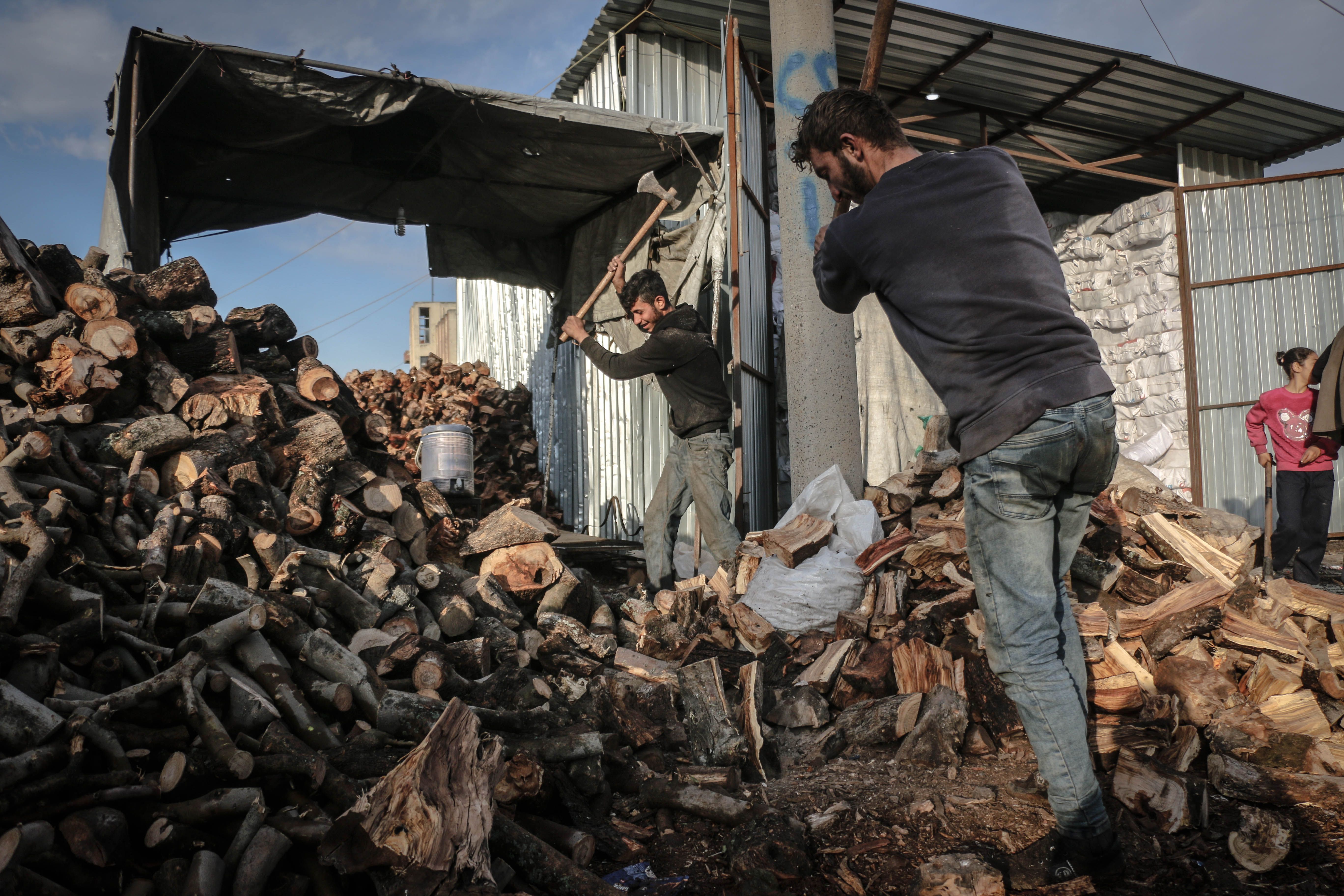 Palestinian officials hail local elections in a Gaza community and the West Bank — Photo by Ahmed akacha on Pexels