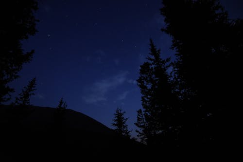 夜空 的 免费素材图片