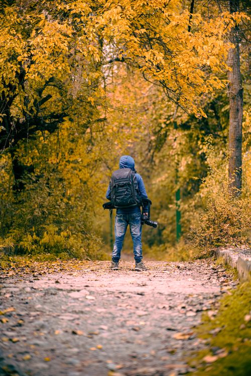 Free Back view of a backpacker with camera gear standing on a forest path amidst vibrant autumn foliage. Stock Photo