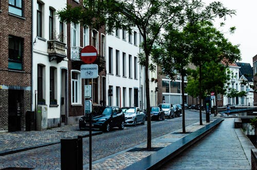 比利時, 鵝卵石街道 的 免费素材图片