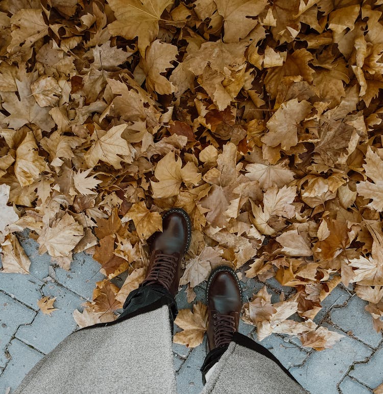 A Person Stepping On Dried Leaves 