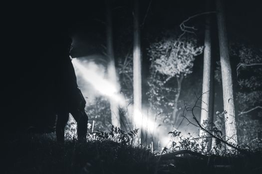 Silhouette of a Person Holding Flashlight