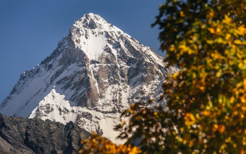 Бесплатное стоковое фото с заснеженные горы, листья, пейзаж