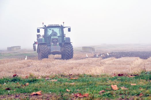 A tractor operating in foggy farmland, Isola della Scala, Italy.