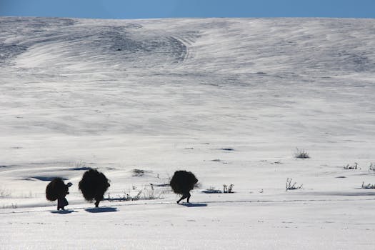 Three people carrying bundles walk through a snow-covered landscape in Türkiye.