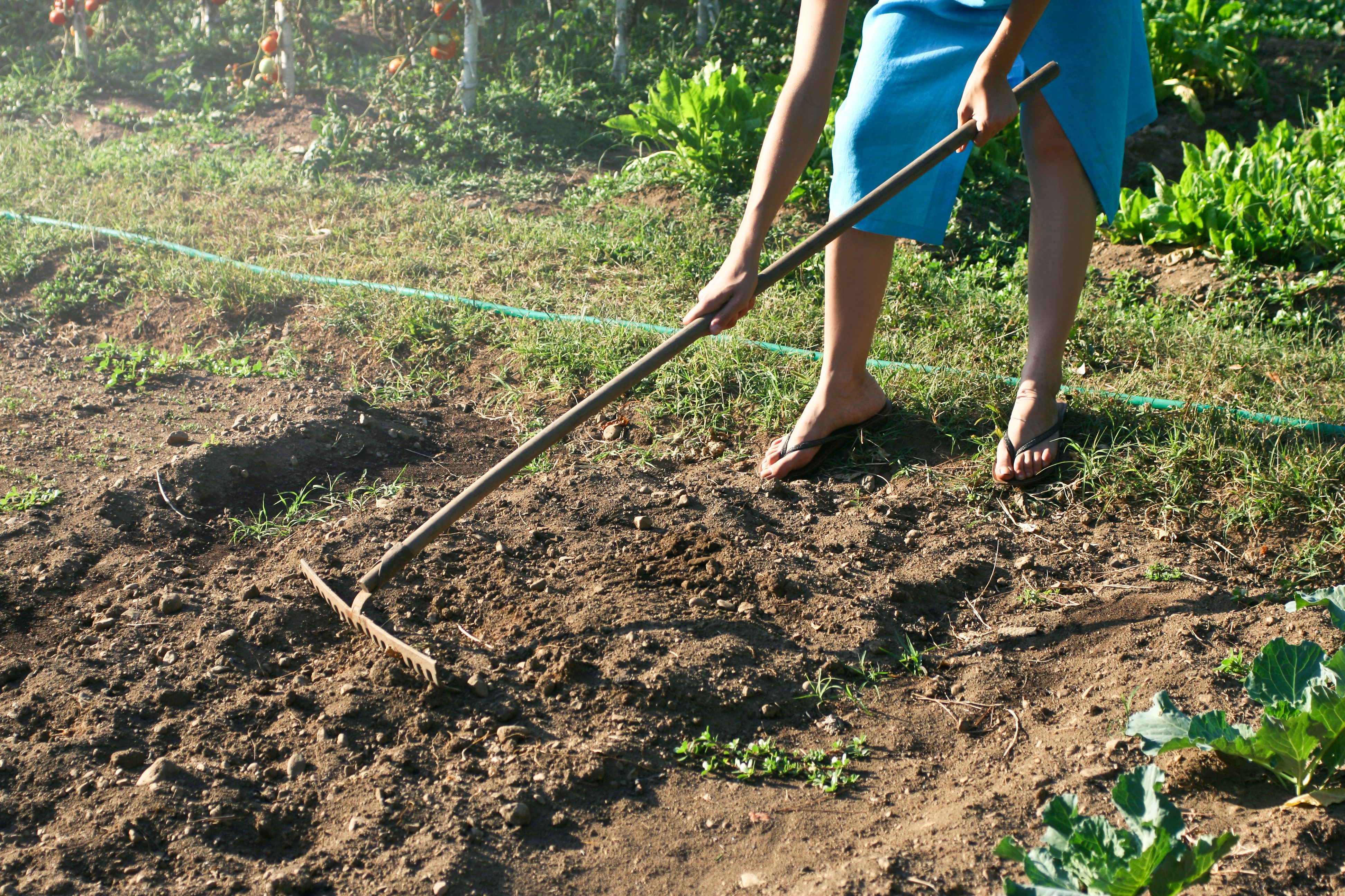 kostenloses-foto-zum-thema-arbeit-bauer-farmer