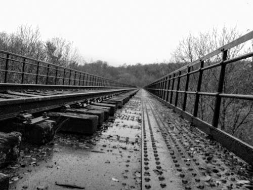 bezplatná Základová fotografie zdarma na téma bariéry, černobílý, železniční koleje Základová fotografie