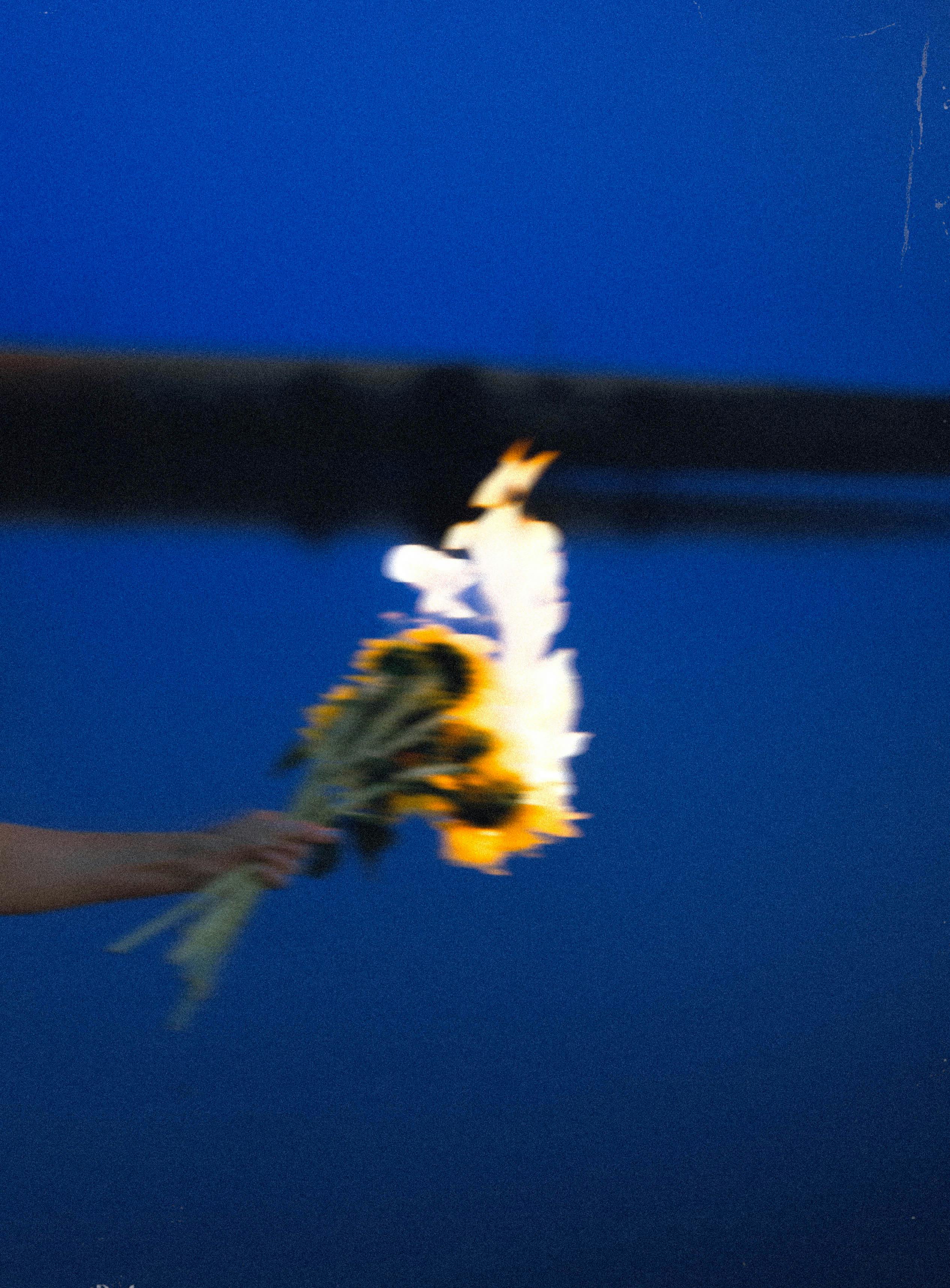 A hand holding flaming sunflowers against a serene lake backdrop during twilight.