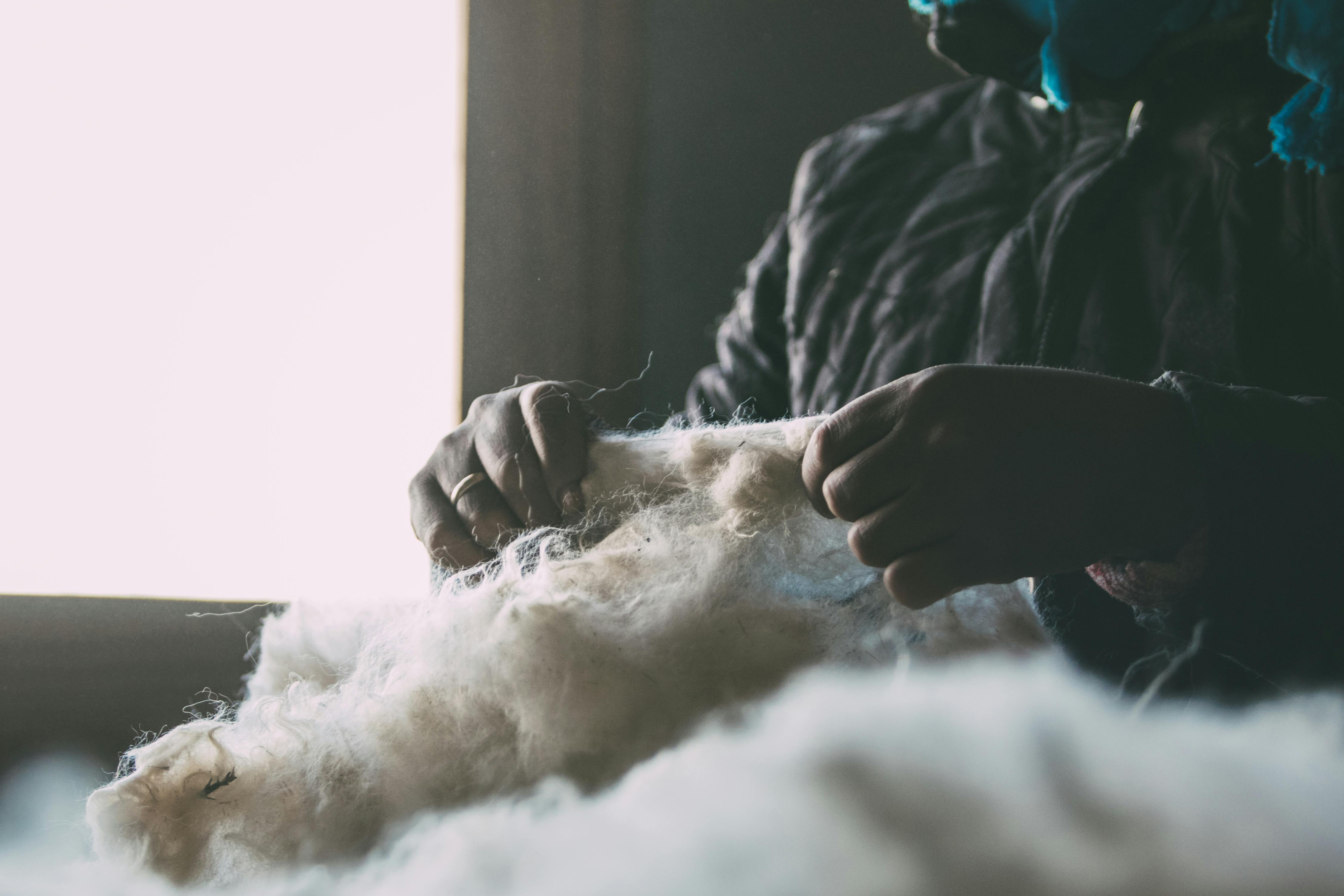 Carding Wool Photos, Download The BEST Free Carding Wool Stock Photos