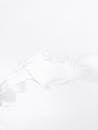 White Abstract Background