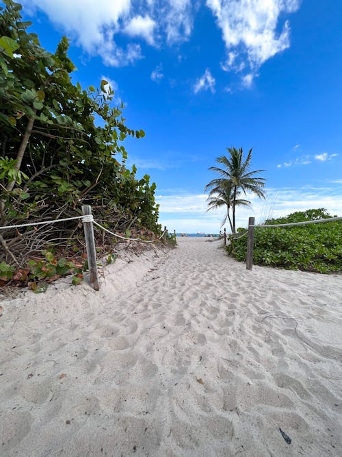 Ingyenes stockfotó Florida, függőleges lövés, homok témában