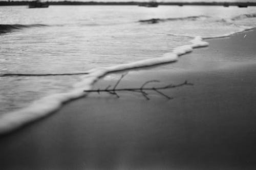 Grayscale Photography of Seafoam on the Shore 