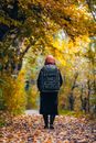 Free stock photo of autumn, autumn atmosphere, autumn color