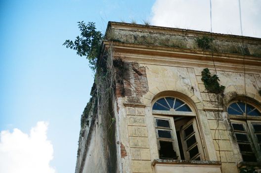 Detailed view of a vintage abandoned building with overgrown vegetation in São Francisco do Sul, Brazil.