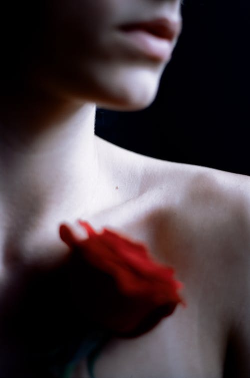 A Person Holding a Stem of Red Rose Near Her Collarbone