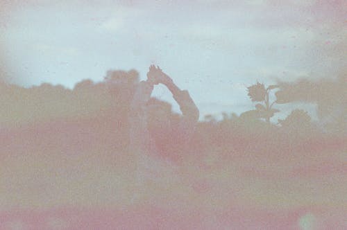 Základová fotografie zdarma na téma osoba, pole slunečnic, ruce zvednuté