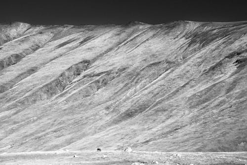 dağ, dağ silsilesi, dar açılı çekim içeren Ücretsiz stok fotoğraf