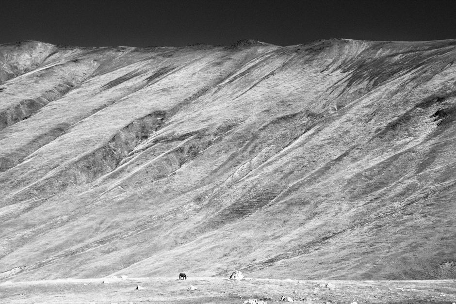 A stunning black and white photo of a rugged mountain landscape with a lone horse.